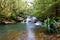 Rain forest waterfall, Madagascar wilderness landscape