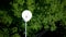 Rain gauge water aerial rainfall shot tower forest wood science research scientific weather meteorology funnel falling