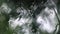 Rain on glass of window with green trees outside. Closeup. Rain on the glass.