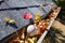 Rain gutter full of autumn leaves with a baseball