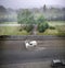 Rain and hail during a hurricane