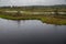 Rain in Kakerdaja Bog