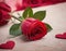 Rain-Kissed Roses: Nature\'s Refreshing Gift, Heart Rose Petels, generative ai