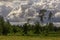 before the rain, landscape with dramatic sky, pine trees