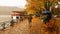 Rain leaves trees in Ioannina city greece winter