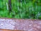 Rain photographed from opened window, close up view. Raindrops on brown ledge. Selective soft focus. Iron fence, green