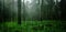 Rain in the pine forest Heavy fog Lush scenery in the rainy season 3d illustration