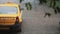 Rain pouring down on a taxi car and pavement. Blurred branches of a tree sway in the wind.