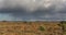 Rain Rainbow at New Forest