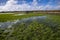 Rain saturated fields and high water table