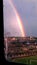 Through the rain-soaked window you can see a bright rainbow rising from behind the forest.