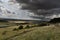 Rain storm over landscape highway in distamce