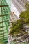 Rain and storm over trees plants skyscrapers in Bangkok Thailand