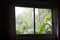 Rain storm and raining drop on banana leaf