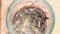 Rain Worms or Earthworms in fisherman's glass jar.