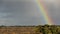 Rainbow above New Forest England