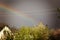 Rainbow against a dark stormy sky.