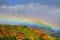 Rainbow Against the Mountains