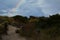 Rainbow appearing behind nature after the storm