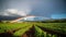 A rainbow appears over a field of crops. AI generative image.