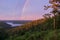 Rainbow Arching Over a Towering Pine Tree At Sunset