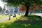 Rainbow bench in the park