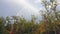 Rainbow in birch forest of Abisko National Park in Sweden