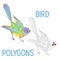 Rainbow bird polygons coloured and outline vector