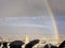 Rainbow bright over rainy Paris