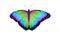 Rainbow Butterfly