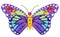 Rainbow  butterfly is considered an endangered species isolated floral