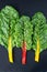 Rainbow Chard leaves In A Line on dark slate,