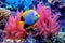 rainbow-colored angel fish in a coral habitat