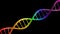 Rainbow Colored DNA Double Helix In Motion
