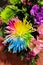 Rainbow colored flower in brightly colored bouquet of fresh flowers - top view