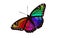 Rainbow colored Winged Monarch - Butterfly Vector