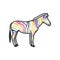 Rainbow colored zebra isolated vector illustration