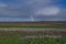 Rainbow with dark blue sky with clouds. grass and stones in foreground. People in the distance. The Netherlands: Waddensea. Unesco