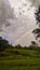 Rainbow in a evening sky and a paddy field