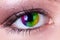 Rainbow eye