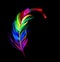 Rainbow feather luminescent paint on black background