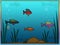 Rainbow Fish Aquarium Background