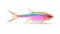 Rainbow Fish Closeup On White Background - Patricia Piccinini Style