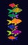 Rainbow fish with no direction