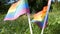 Rainbow flags on the grass lawn swaying in wind, Symbol of LGBT Gay lesbian transgender queer rights, activism love