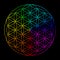 Rainbow flower of life