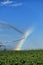 A rainbow form in the mist from an agricultural sprinkler system