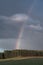 A rainbow forms over a forest after an afternoon thundershower