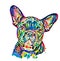 Rainbow French bulldog abstract painting