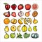 Rainbow fruits vector set isolated. Whole chopped strawberry, banana pear orange apple. Fruits collection hand drawn